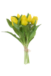 Tulp Geel - (N-306)